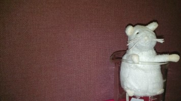 John website photo 2.jpg